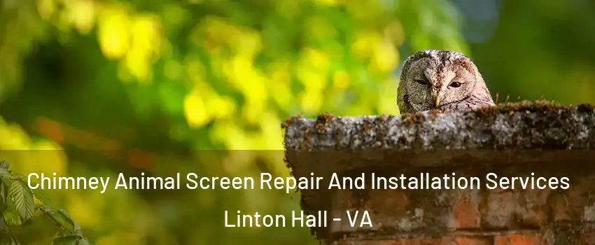  Chimney Animal Screen Repair And Installation Services Linton Hall - VA