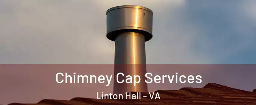  Chimney Cap Services Linton Hall - VA