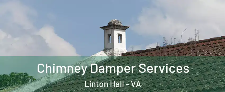  Chimney Damper Services Linton Hall - VA