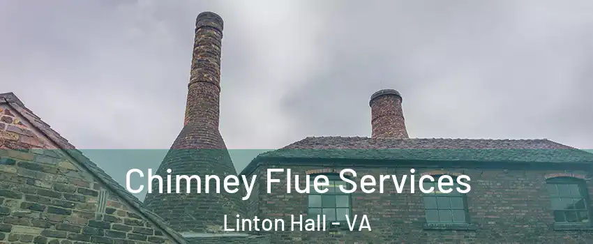  Chimney Flue Services Linton Hall - VA