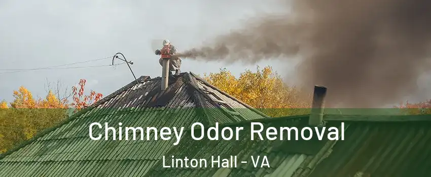 Chimney Odor Removal Linton Hall - VA