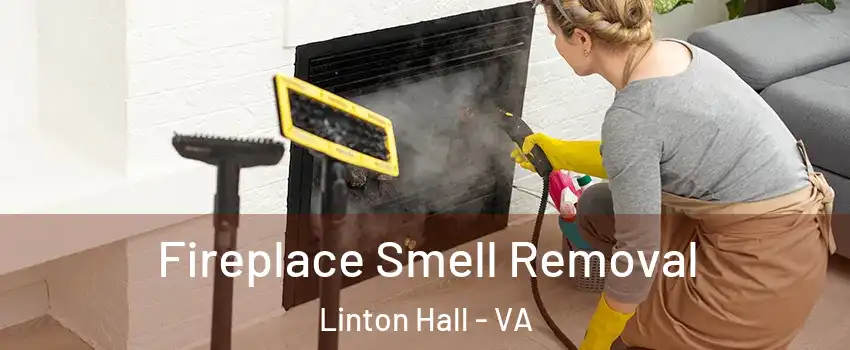  Fireplace Smell Removal Linton Hall - VA
