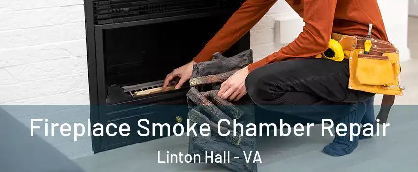  Fireplace Smoke Chamber Repair Linton Hall - VA