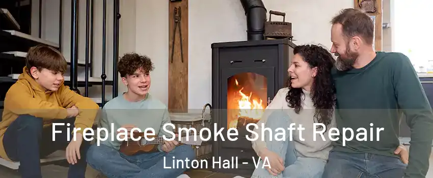  Fireplace Smoke Shaft Repair Linton Hall - VA
