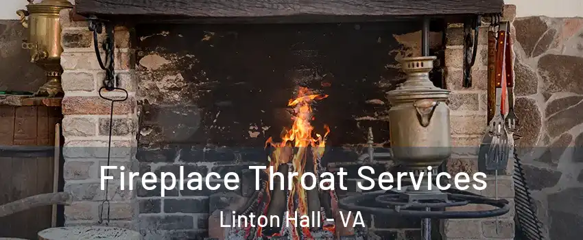  Fireplace Throat Services Linton Hall - VA