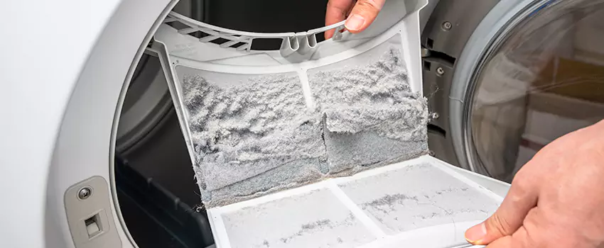 Best Dryer Lint Removal Company in Linton Hall, Virginia