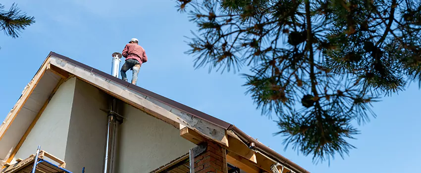 Birds Removal Contractors from Chimney in Linton Hall, VA
