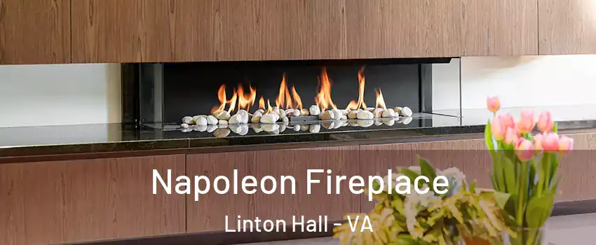  Napoleon Fireplace Linton Hall - VA