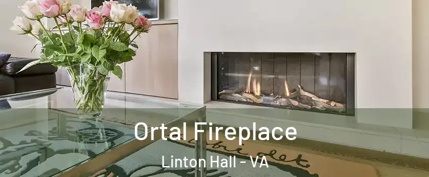 Ortal Fireplace Linton Hall - VA